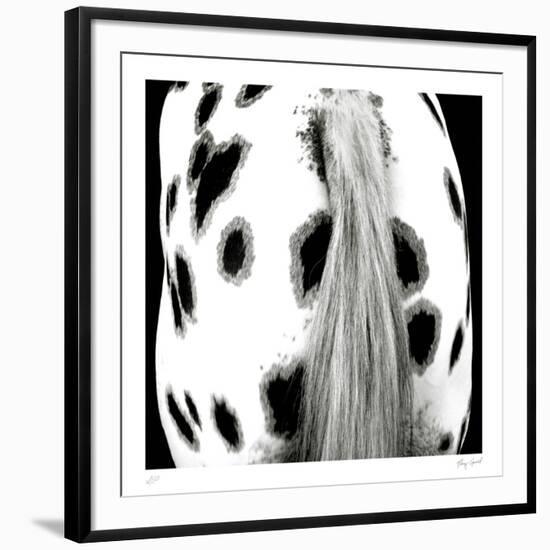 Appaloosa-Ray Hartl-Framed Collectable Print