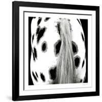 Appaloosa-Ray Hartl-Framed Collectable Print