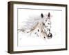 Appaloosa-Patricia Pinto-Framed Art Print