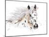 Appaloosa-Patricia Pinto-Mounted Art Print