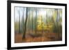 Apparition-Viviane Fedieu Daniel-Framed Photographic Print