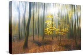 Apparition-Viviane Fedieu Daniel-Stretched Canvas