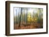 Apparition-Viviane Fedieu Daniel-Framed Photographic Print