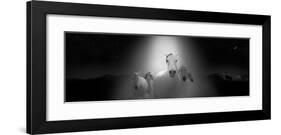 Apparitions of Equus-Rosa Mesa-Framed Art Print