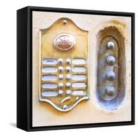 Appartamento Ingresso-Tosh-Framed Stretched Canvas