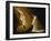 Appearance of Saint Peter to Saint Peter Nolasco-Francisco de Zurbarán-Framed Giclee Print