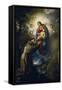 Appearance of the Virgin to St. Francis-Jacopo Ligozzi-Framed Stretched Canvas