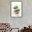 Appetizer-Fabio Petroni-Framed Premium Photographic Print displayed on a wall