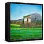 Appia Antica, House, 2008-Noel Paine-Framed Stretched Canvas