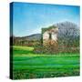 Appia Antica, House, 2008-Noel Paine-Stretched Canvas