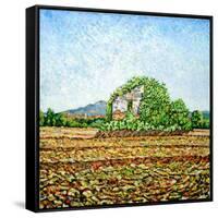 Appia Antica House-Noel Paine-Framed Stretched Canvas