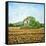 Appia Antica House-Noel Paine-Framed Stretched Canvas