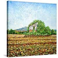 Appia Antica House-Noel Paine-Stretched Canvas