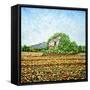 Appia Antica House-Noel Paine-Framed Stretched Canvas