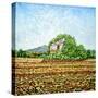 Appia Antica House-Noel Paine-Stretched Canvas