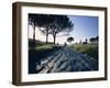 Appia Antica, Rome, Lazio, Italy, Europe-Woolfitt Adam-Framed Photographic Print