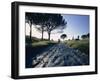 Appia Antica, Rome, Lazio, Italy, Europe-Woolfitt Adam-Framed Photographic Print