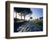 Appia Antica, Rome, Lazio, Italy, Europe-Woolfitt Adam-Framed Photographic Print