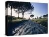 Appia Antica, Rome, Lazio, Italy, Europe-Woolfitt Adam-Stretched Canvas