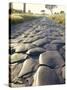 Appia Antica (The Appian Way), Rome, Lazio, Italy-Adam Woolfitt-Stretched Canvas