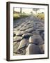 Appia Antica (The Appian Way), Rome, Lazio, Italy-Adam Woolfitt-Framed Photographic Print