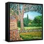 Appia Antica, View, 2008-Noel Paine-Framed Stretched Canvas