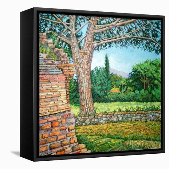 Appia Antica, View, 2008-Noel Paine-Framed Stretched Canvas