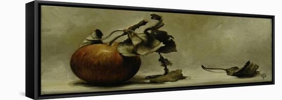 Apple and Leaf-James Gillick-Framed Stretched Canvas