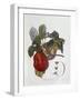 Apple Belle Du Havre-null-Framed Giclee Print