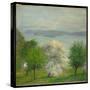 Apple Blossom, 1903 (Oil on Canvas)-Robert William Vonnoh-Stretched Canvas