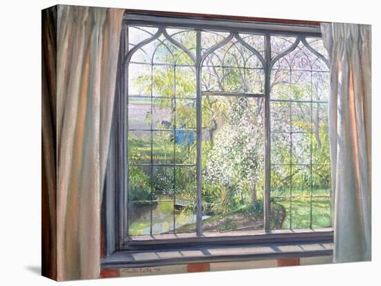 Apple Blossom Against Willow, 1990-Timothy Easton-Stretched Canvas