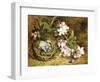 Apple Blossom and a Bird's Nest-H. Barnard Grey-Framed Giclee Print