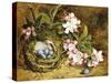 Apple Blossom and a Bird's Nest-H. Barnard Grey-Stretched Canvas