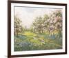 Apple Blossom and Bluebells-John Halford Ross-Framed Giclee Print