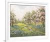 Apple Blossom and Bluebells-John Halford Ross-Framed Giclee Print