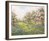 Apple Blossom and Bluebells-John Halford Ross-Framed Giclee Print