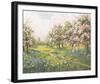 Apple Blossom and Bluebells-John Halford Ross-Framed Giclee Print