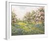 Apple Blossom and Bluebells-John Halford Ross-Framed Giclee Print