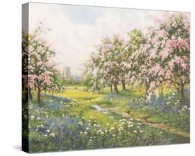 Apple Blossom and Bluebells-John Halford Ross-Stretched Canvas