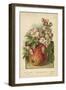 Apple Blossom and Fruit-William Henry James Boot-Framed Premium Giclee Print