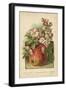 Apple Blossom and Fruit-William Henry James Boot-Framed Premium Giclee Print