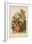 Apple Blossom and Fruit-William Henry James Boot-Framed Premium Giclee Print
