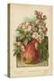 Apple Blossom and Fruit-William Henry James Boot-Stretched Canvas