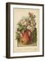 Apple Blossom and Fruit-William Henry James Boot-Framed Giclee Print