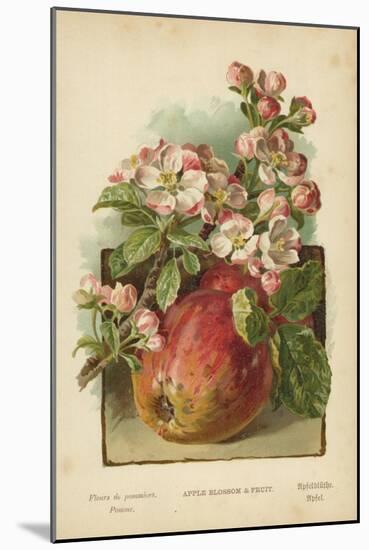 Apple Blossom and Fruit-William Henry James Boot-Mounted Giclee Print