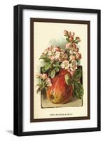 Apple Blossom and Fruit-W.h.j. Boot-Framed Art Print