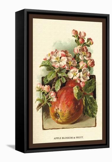 Apple Blossom and Fruit-W.h.j. Boot-Framed Stretched Canvas