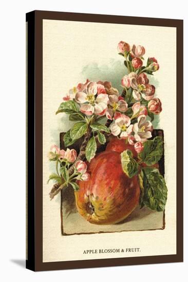 Apple Blossom and Fruit-W.h.j. Boot-Stretched Canvas