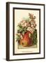 Apple Blossom and Fruit-W.h.j. Boot-Framed Art Print