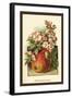 Apple Blossom and Fruit-W.h.j. Boot-Framed Art Print